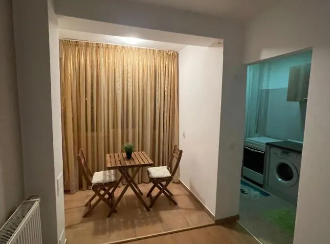 Apartamento Garsoniera Single 19