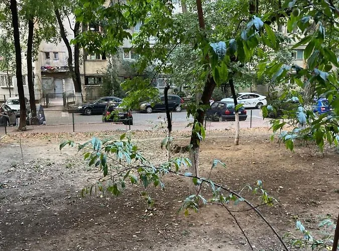 Garsoniera Single 19