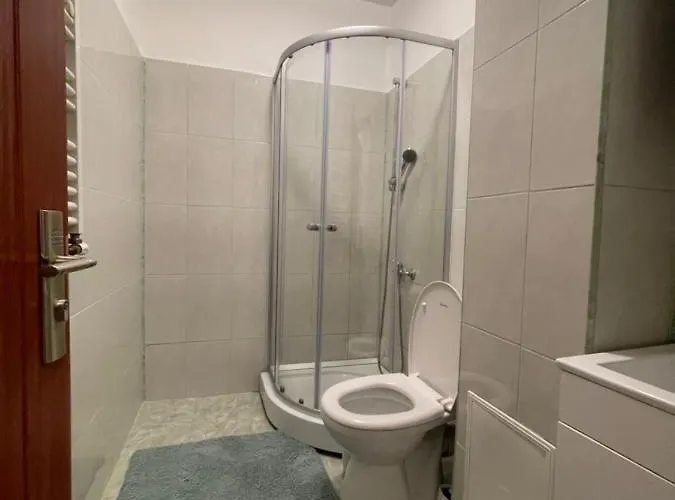 Garsoniera Single 19 Apartment *